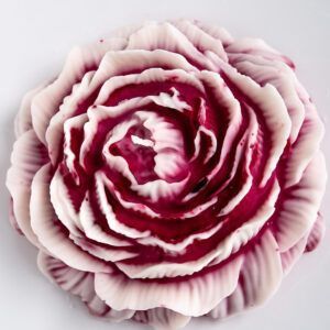 Vela de flor de peonía Grande XXL Color Magenta